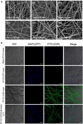 Pluronic F127-Modified Electrospun Fibrous Meshes for Synergistic Combination Chemotherapy of Colon Cancer